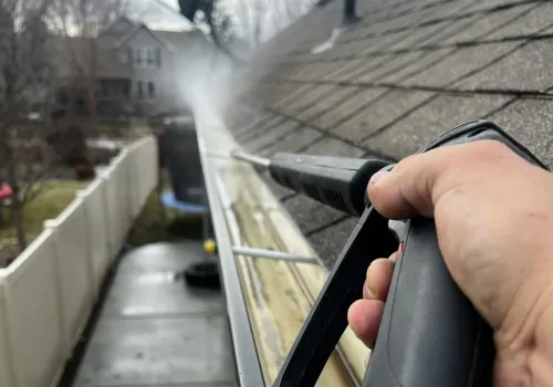 debris removal from roof and gutter