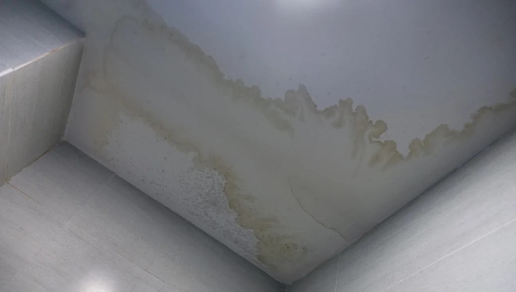 A large stain on a white ceiling from water damage, with the beginning of mold growth.