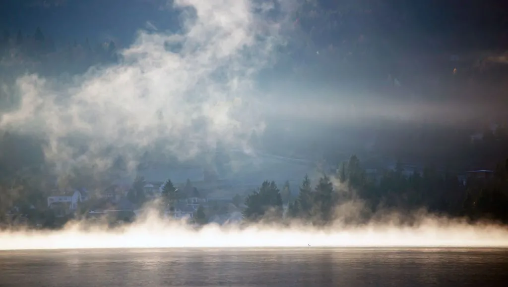 A foggy morning over a lake with trees and houses in the background.