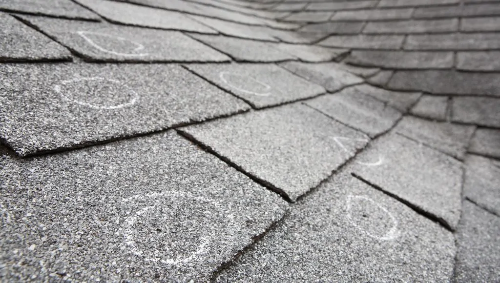 Chalk circles hail damage on an asphalt shingle roof.
